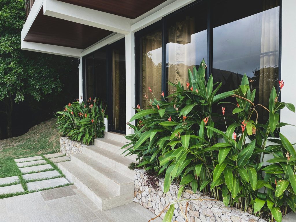 a house that has a bunch of plants in front of it