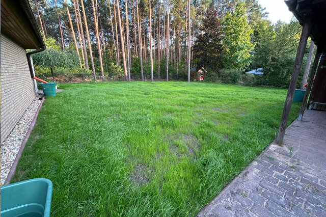 lush green lawn